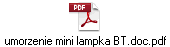 umorzenie mini lampka BT.doc.pdf