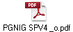 PGNIG SPV4 _o.pdf