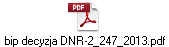 bip decyzja DNR-2_247_2013.pdf