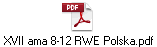 XVII ama 8-12 RWE Polska.pdf