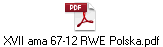 XVII ama 67-12 RWE Polska.pdf