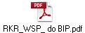 RKR_WSP_ do BIP.pdf