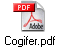 Cogifer.pdf