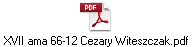 XVII ama 66-12 Cezary Witeszczak.pdf