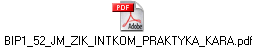 BIP1_52_JM_ZIK_INTKOM_PRAKTYKA_KARA.pdf